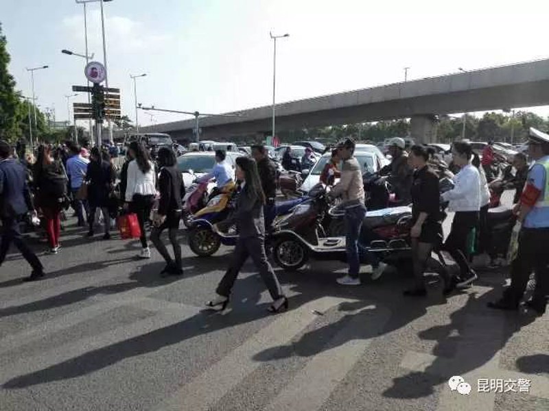 2026年新能源电动车品牌：从动力心脏到生态大脑的全面对决